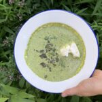 Weißer teller mit selbstgemachter grüner Zucchini-Suppe