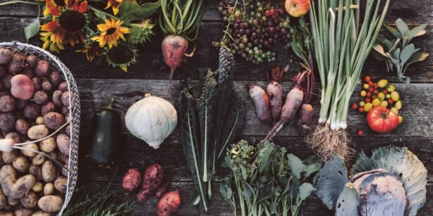 Buchtipp: „Erde, Salz & Glut. Gemüseküche im Rhythmus der Jahreszeiten“