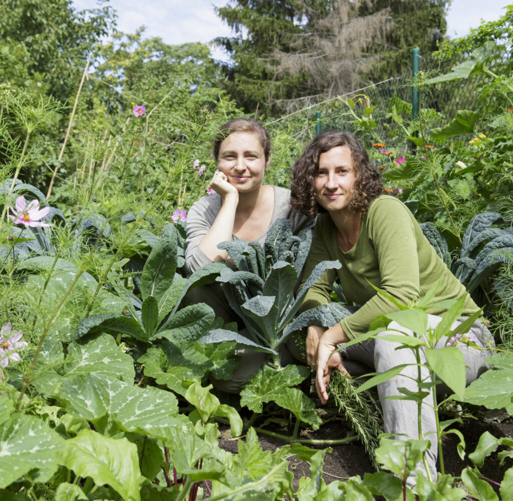 Buchtipp: Urban Farming – das erste Buch der Frankfurter Gemüseheldinnen