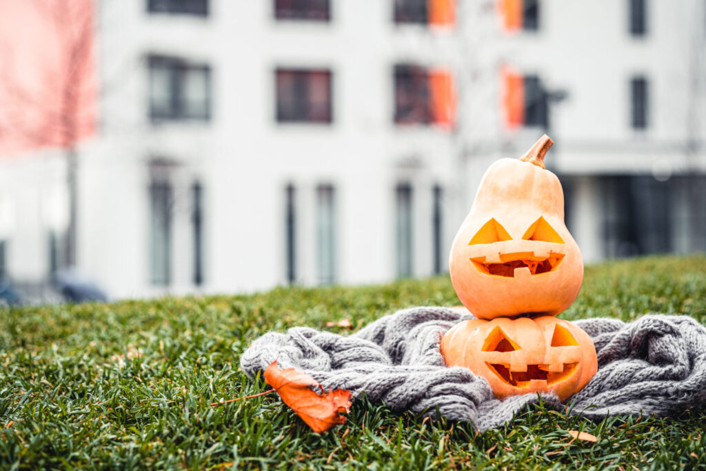 Halloween: Am rechten Bildrand sind zwei kleine orange Kürbise mit einem reingeschnitzen Gesicht. Tageslicht mit heller Häuserfront im Hintergrund. Die Kürbisse sitzen auf einer gestrickten, grauen Decke im grünen Gras.