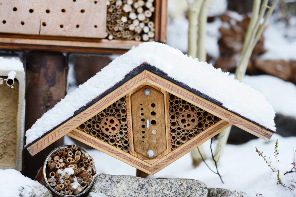 In einem schneebedeckten Insektenhotel schlummern eingepuppt Wildbienen.