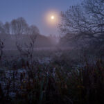 Der Mond im November: Fruchtbares im Nebelung