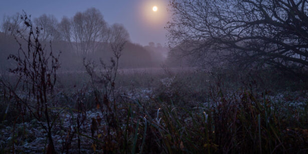 Der Mond im November: Fruchtbares im Nebelung