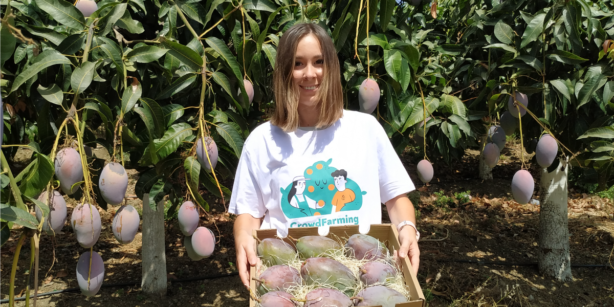 CrowdFarming: Mangos aus Europa direkt beim Erzeuger kaufen