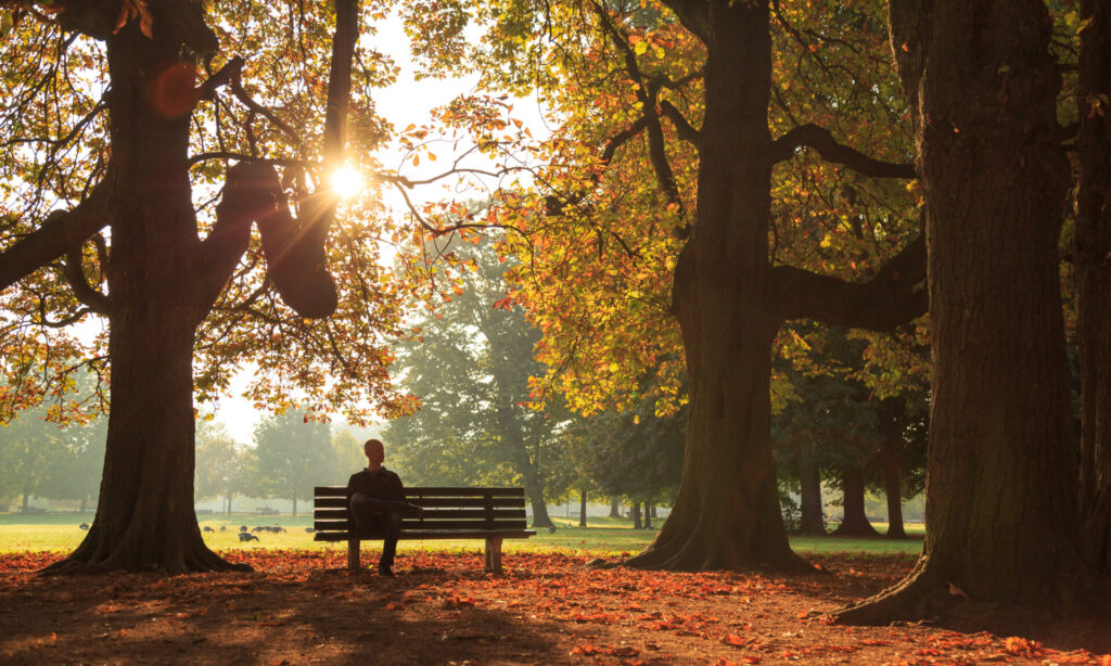 Ein Mann sitzt an einem sonnigen Herbstmorgen auf einer Bank im Park.