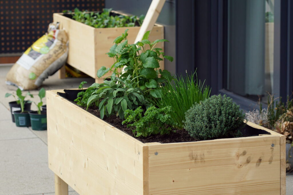 Hochbeet am Balkon: Ein Minigarten für Selbstversorger und die, die es werden wollen
