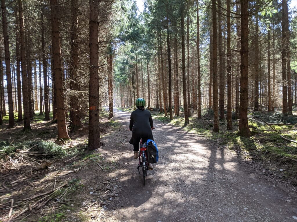 Frau am Fahrrad auf einem Waldweg