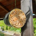 Bienenhotel aus einer Dose