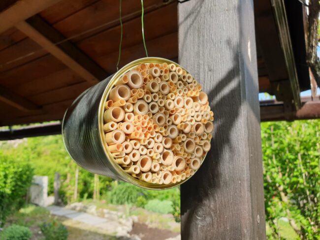 Bienenhotel aus einer Dose