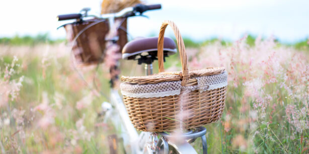 Test: Wieviel Picknick passt in welchen Fahrradkorb?