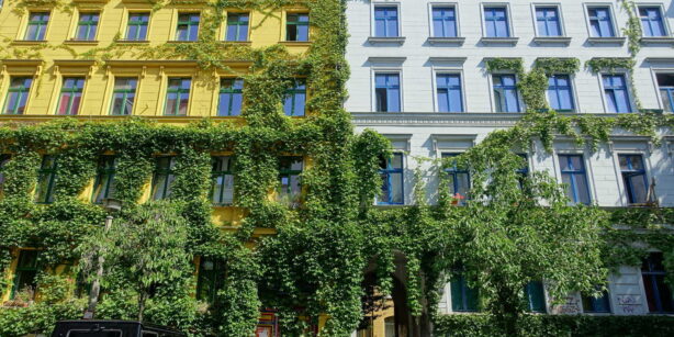 Fassadenbegrünung in der Stadt: Jetzt gehen die Pflanzen steil!