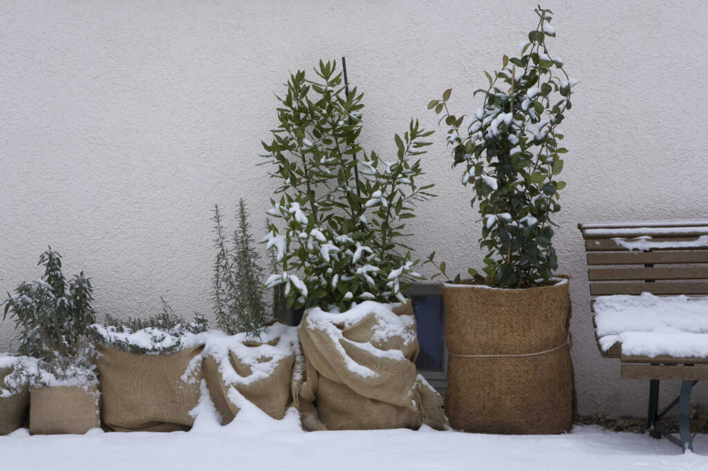 Balkon winterfest machen: Kübelpflanzen in Jutesäcken an der Hauswand