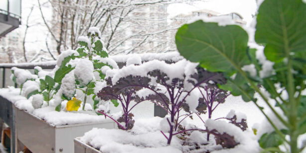 Balkon winterfest machen: In 8 Schritten bist du bereit für den Frost